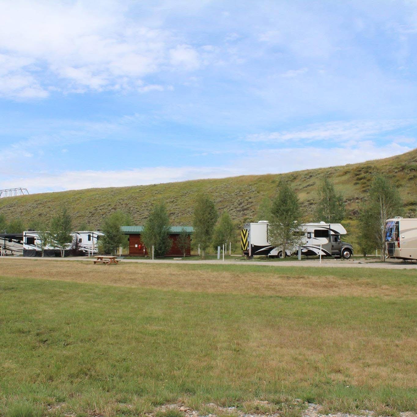 Aerial view of RV sites shaded by rows of golden aspen trees at Eagle Soaring RV Park in fall